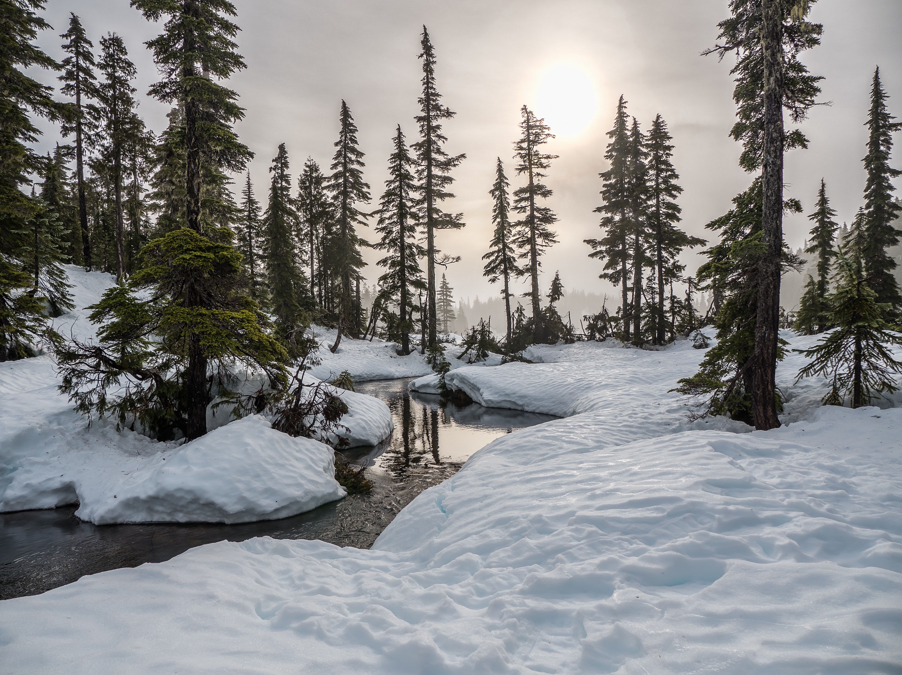 image of snowy forest with a stream of water going through it